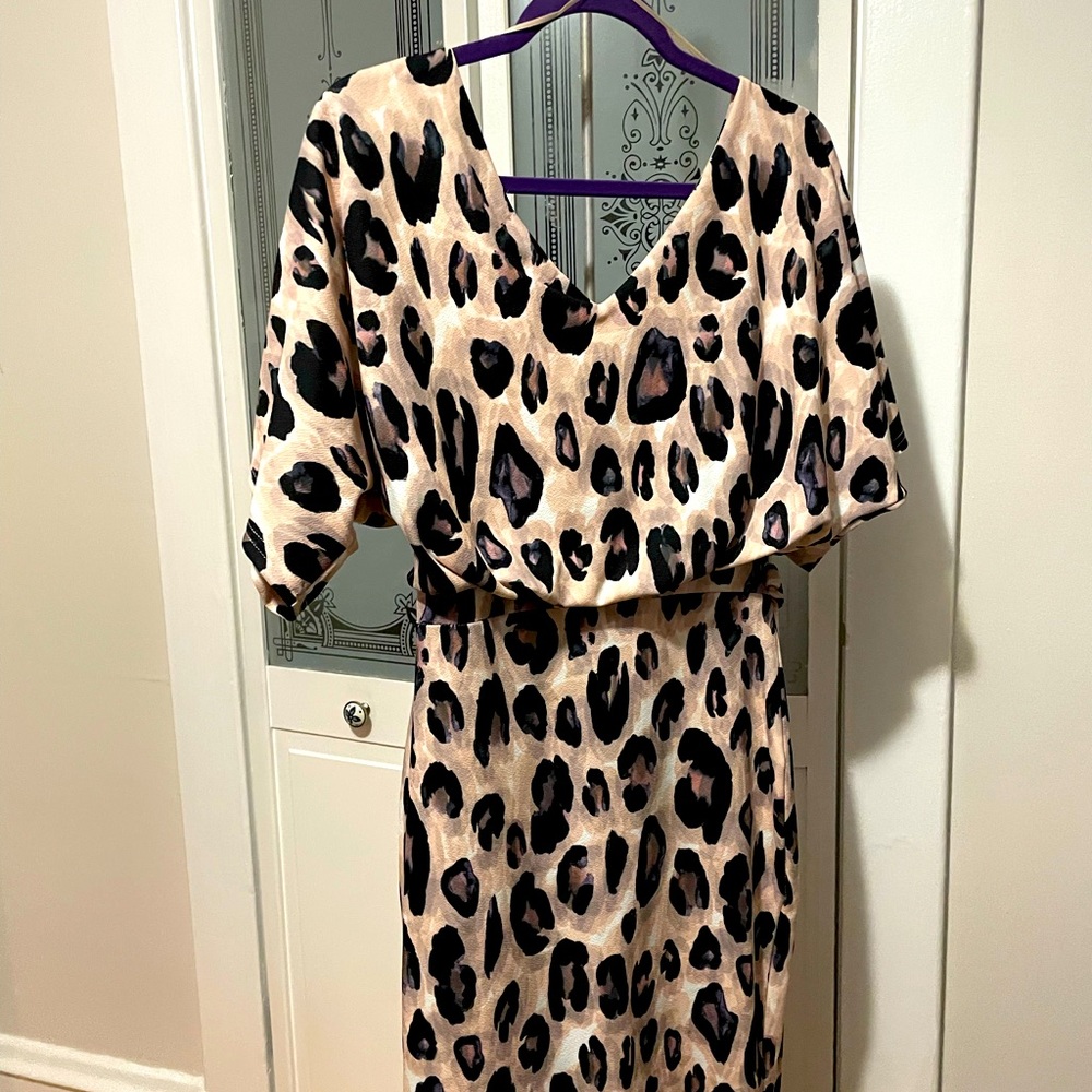 Leopard Print Dress